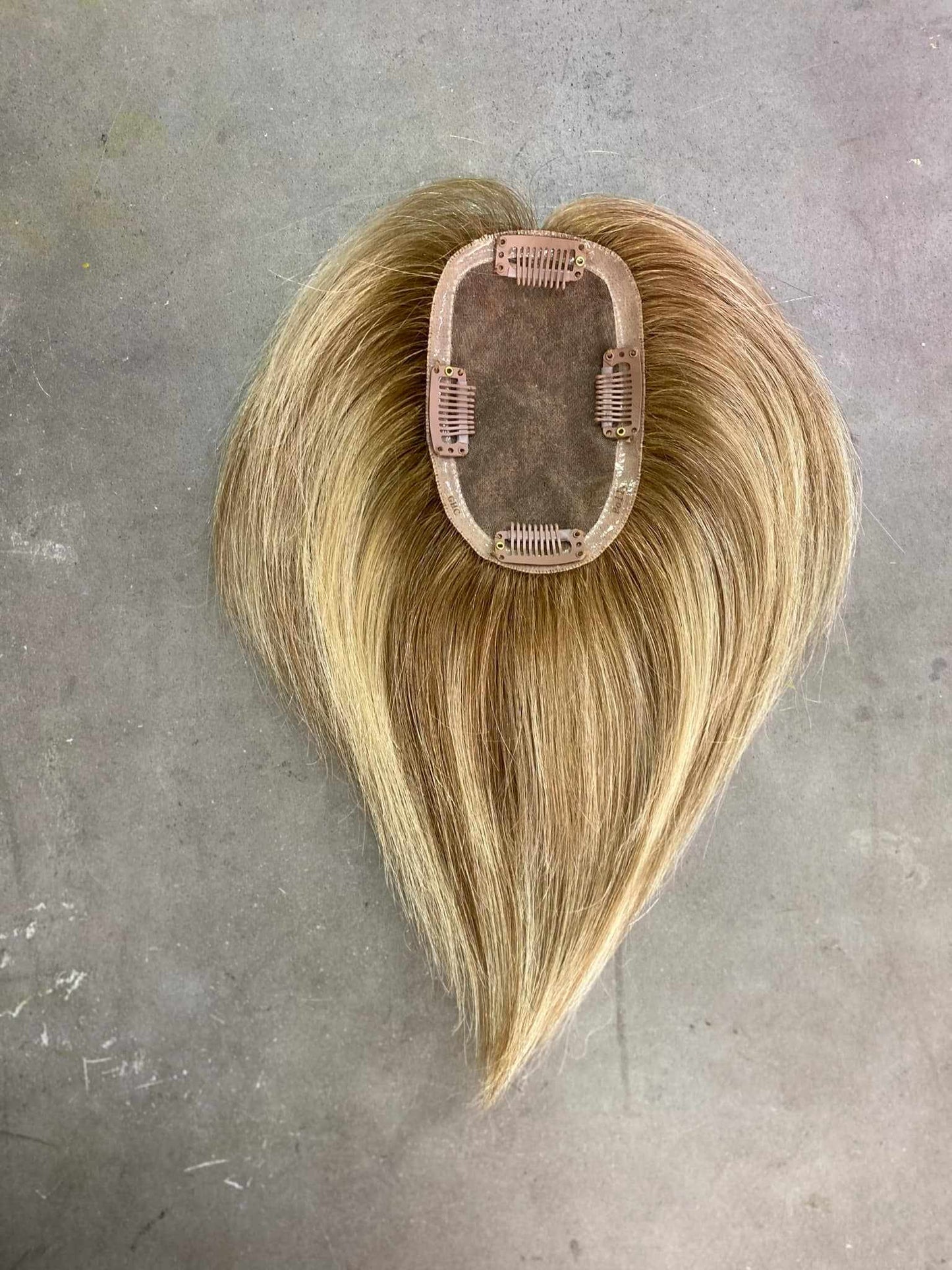 Polly (New)