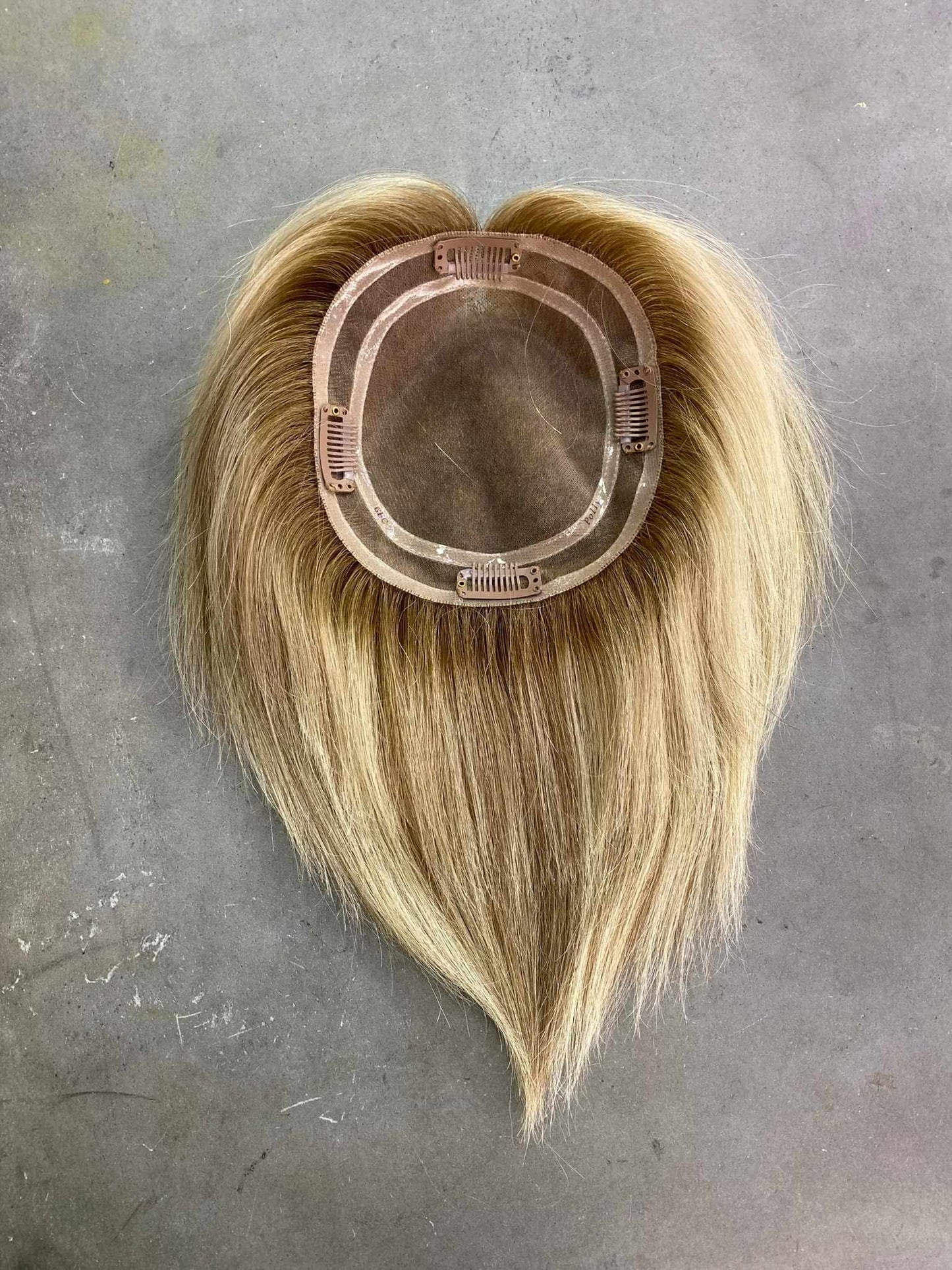 Polly (New)