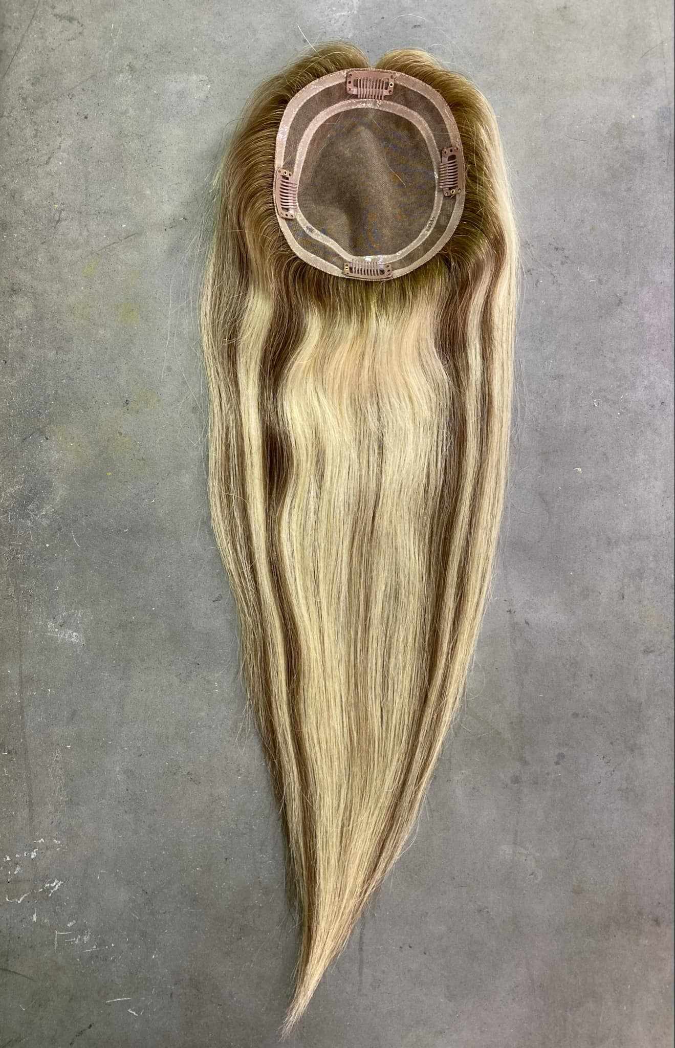 Polly (New)