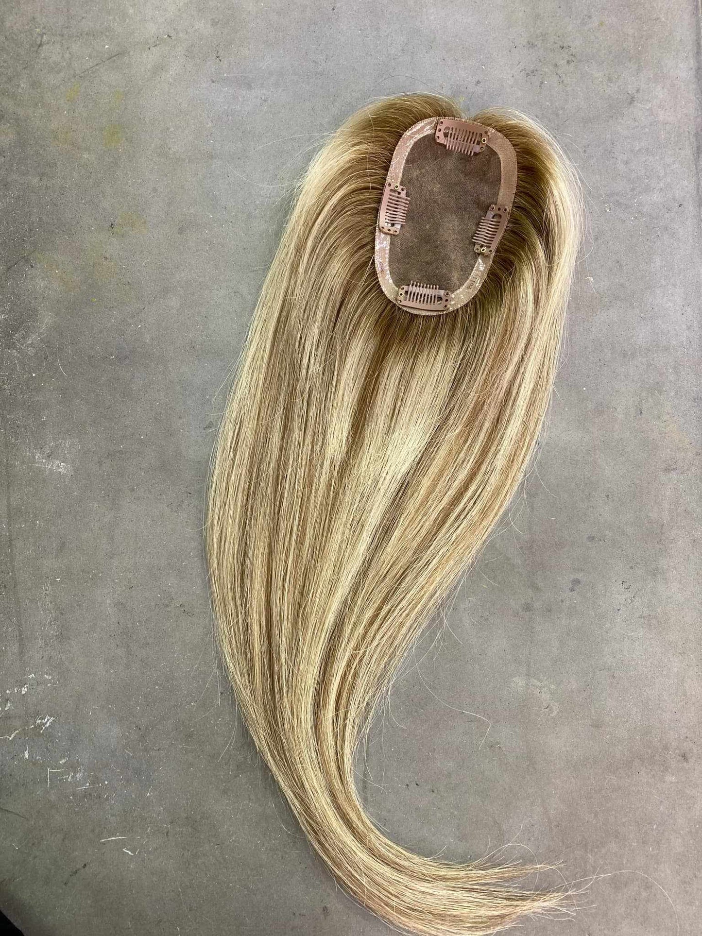 Polly (New)